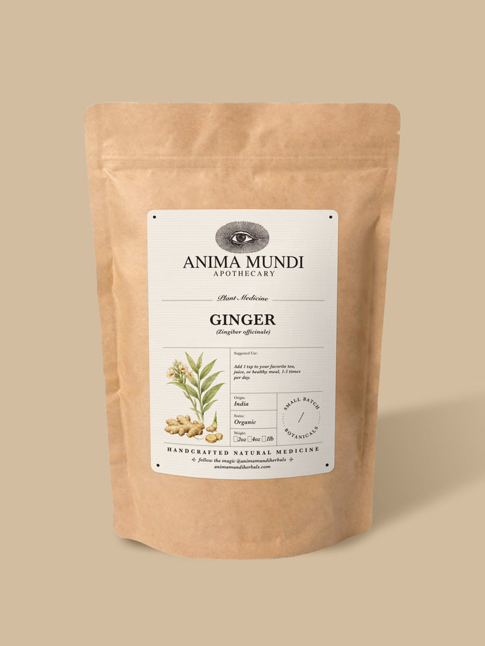A kraft paper stand-up pouch of Anima Mundi Apothecary Ginger herbal medicine, shown on a solid beige background.