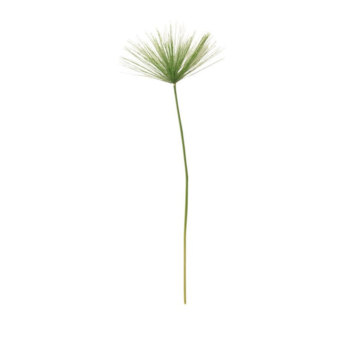 Gisela Graham Green Umbrella Grass Stem