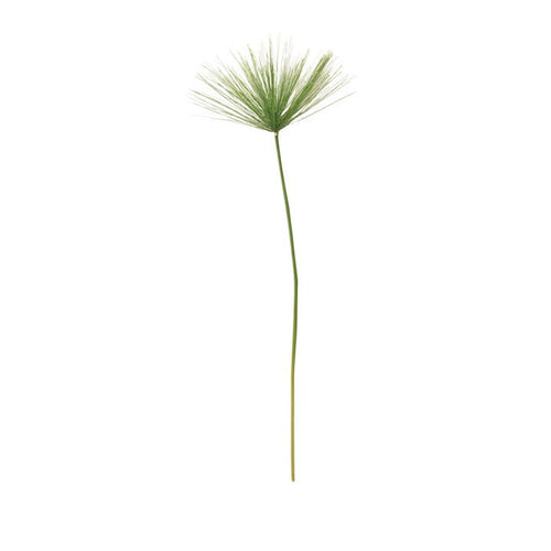 Gisela Graham Green Umbrella Grass Stem