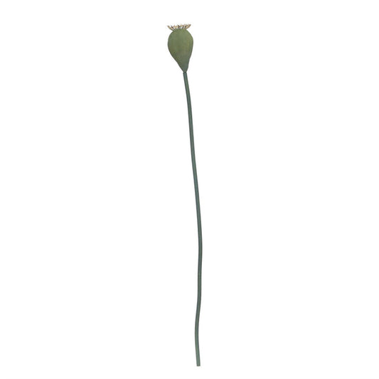 Gisela Graham Pick - Poppy Sead Head