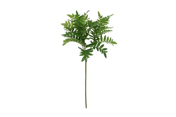Green Osmunda Spray