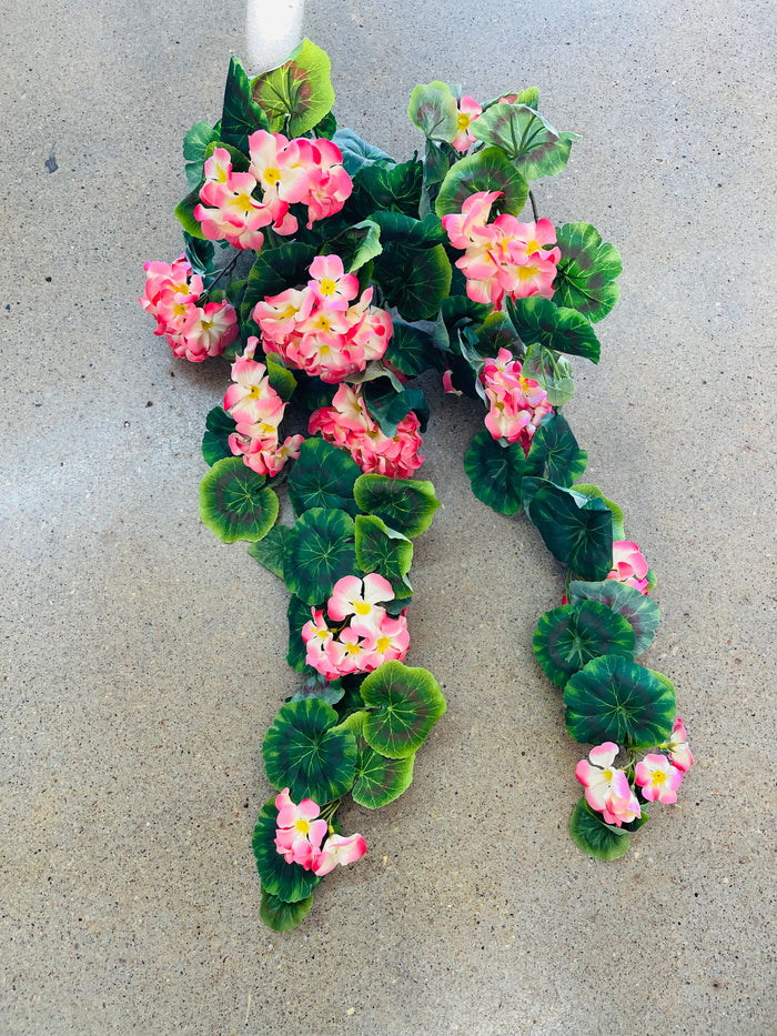Hanging Geranium - Salmon