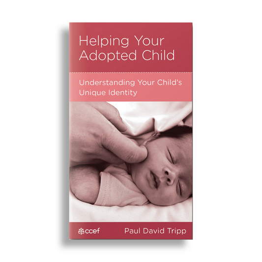 Helping Your Adopted Child: Understanding Your Child's Unique Identity (Minibook)