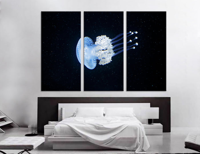 Jellyfish Canvas Print #8045