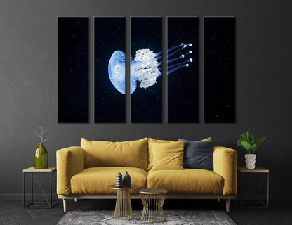 Jellyfish Canvas Print #8045