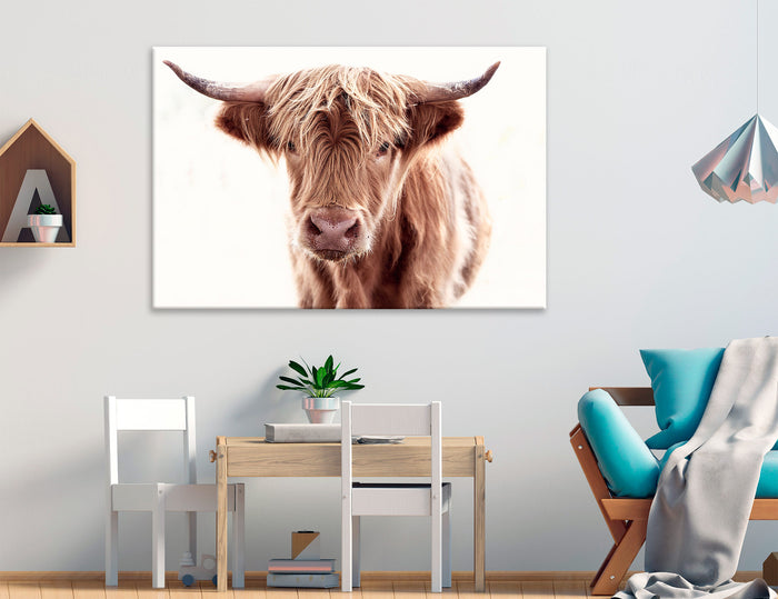 Large Cow Canvas Print #7580