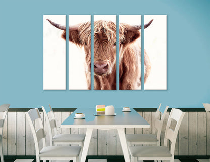 Large Cow Canvas Print #7580