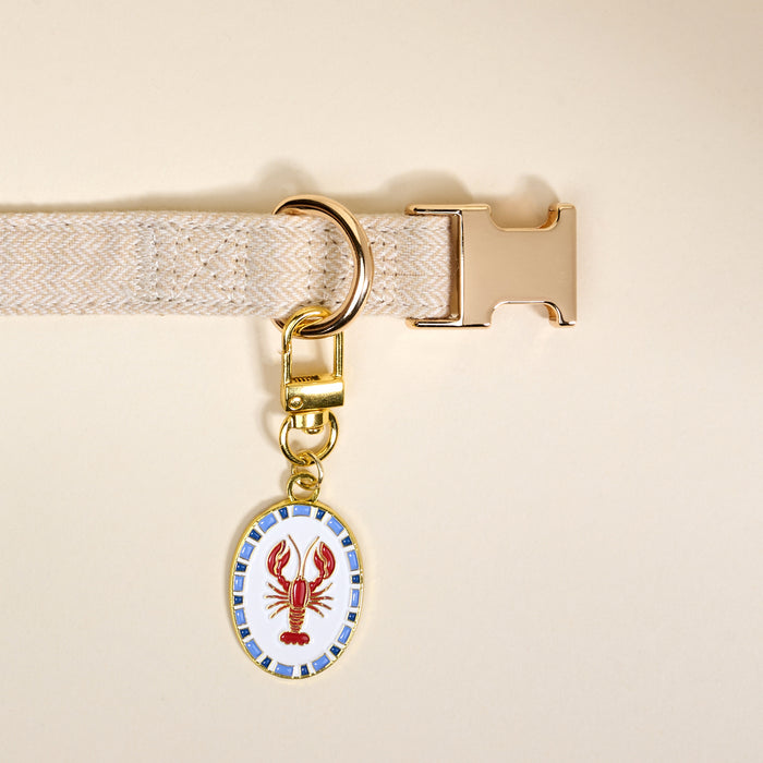 The Darling Effect’s Lobster Pawfect Collar Charm, displayed on a beige herringbone dog collar, is ideal for pet jewelry lovers and stands out against a pale yellow background.