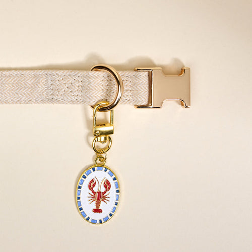 The Darling Effect’s Lobster Pawfect Collar Charm, displayed on a beige herringbone dog collar, is ideal for pet jewelry lovers and stands out against a pale yellow background.
