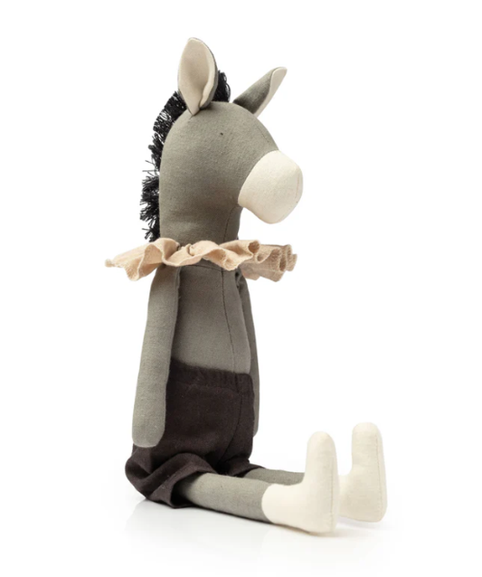 Mr Pickles Darwin The Donkey
