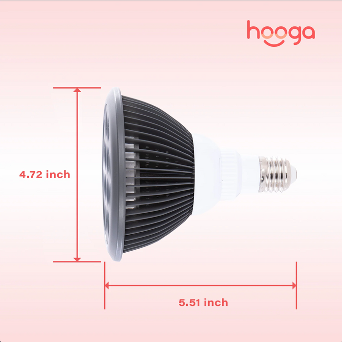 Open Box HG24