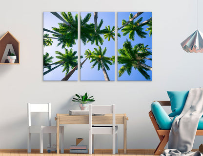Palms Tops Canvas Print #7582