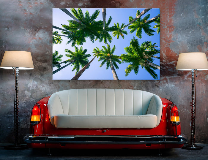Palms Tops Canvas Print #7582