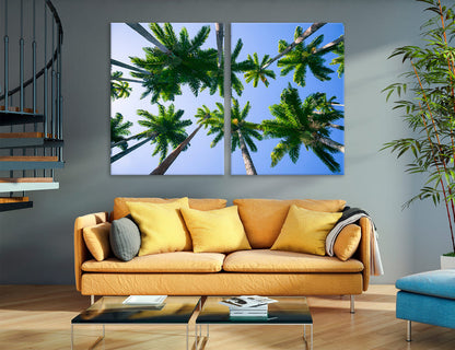 Palms Tops Canvas Print #7582