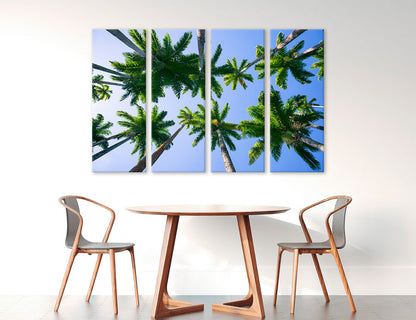 Palms Tops Canvas Print #7582