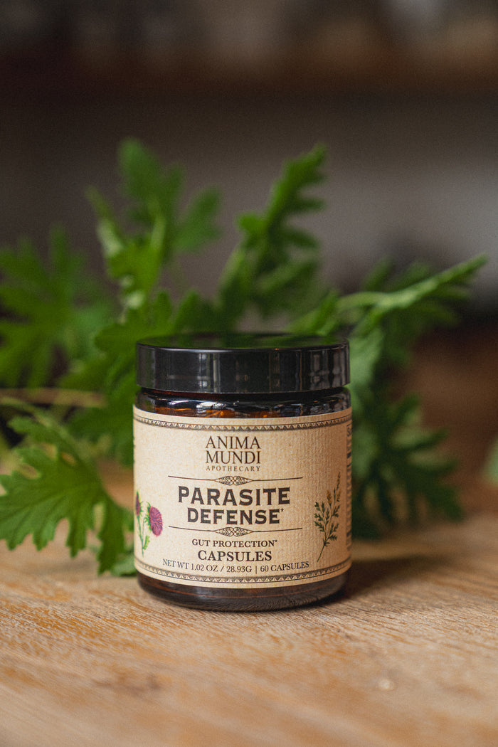 PARA-HERB DEFENSE Capsules | Protects + Supports Gut Health*