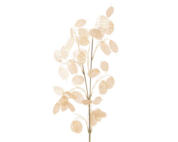 Pearl Silver Lunaria Stem