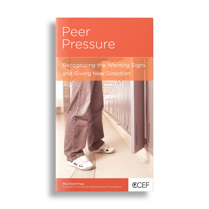 Peer Pressure: Recognizing the Warning Signs & Giving New Direction (Minibook)