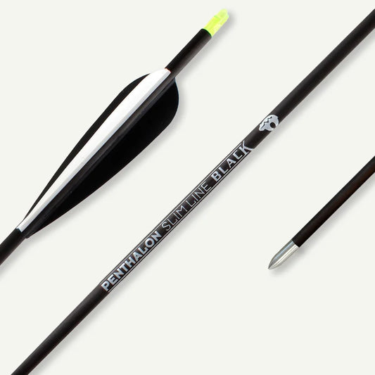 Penthalon Carbonpfeile Slim Line Black Fletches 400