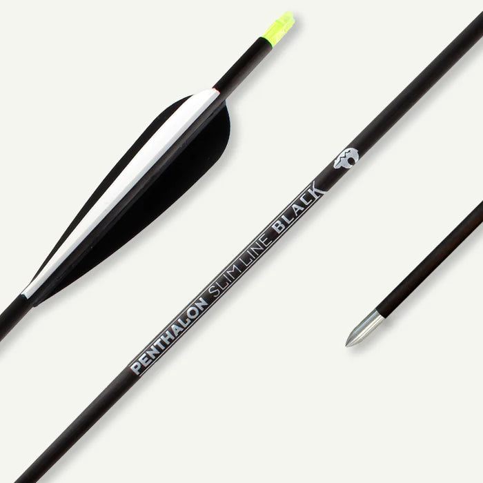 Penthalon Carbonpfeile Slim Line Black Fletches