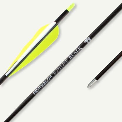 Penthalon Carbonpfeile Slim Line Black Fletches 500