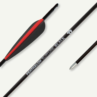Penthalon Carbonpfeile Slim Line Black Fletches 1600