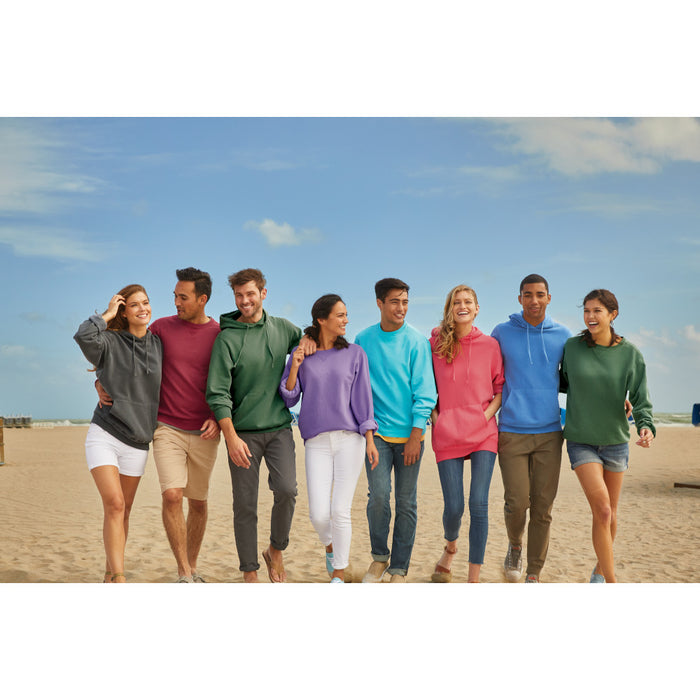 Phi Gamma Delta Beach Washed Crewneck Sweatshirt