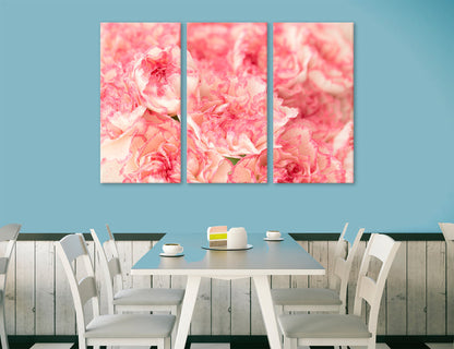 Pink Carnations Canvas Print #7557