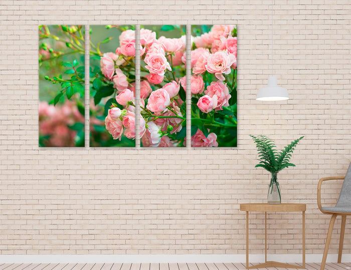 Pink Roses Canvas Print #7561