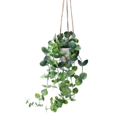 Potted Faux Trailing Hoyas