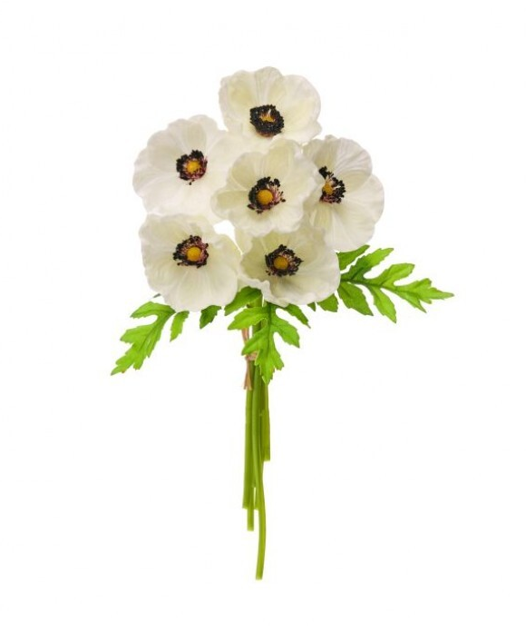 PU Anemone Bundle (cream)