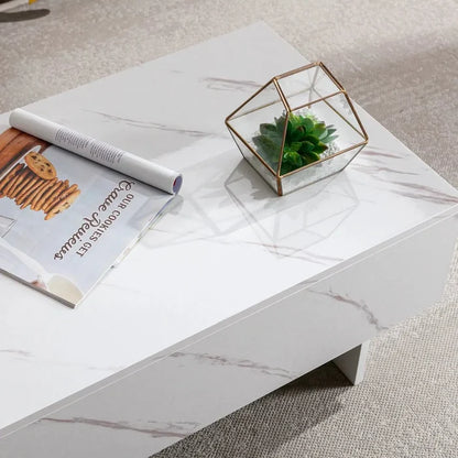Rajan Marble Coffee Table Canva Home