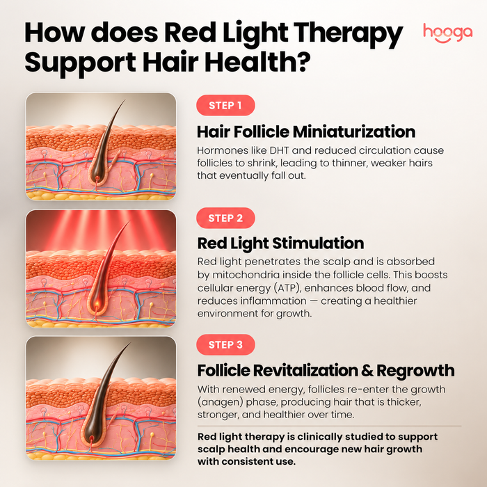 Hooga infographic illustrating hair follicle miniaturization, red light stimulation, and follicle revitalization and regrowth.
