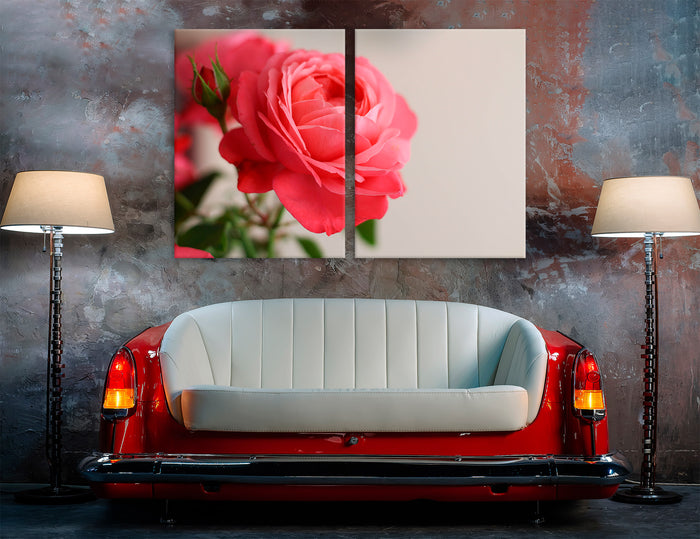 Rose Flower Canvas Print #7562