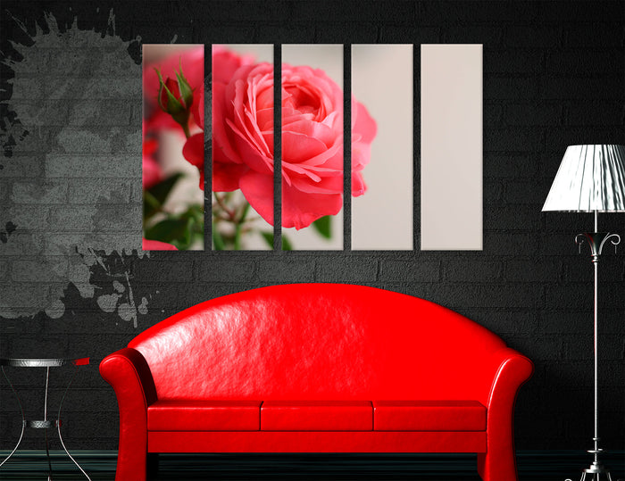 Rose Flower Canvas Print #7562
