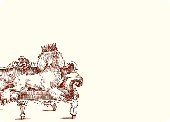 Royal Standard Poodle A6 Notes