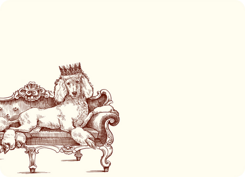 Royal Standard Poodle A6 Notes