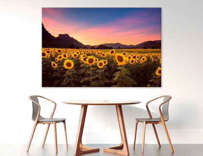 Sunflower Field Canvas Print #7578