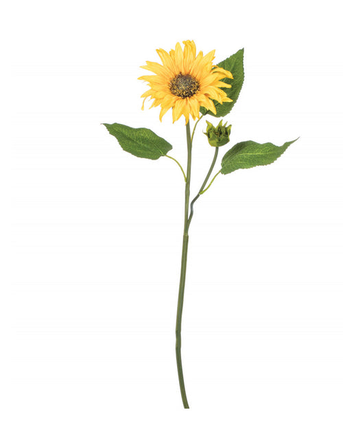 *Sunflower Stem