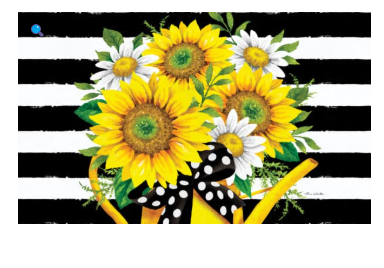Sunflower Watering Can Collection