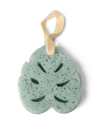 Super Sudsy Soap Sponge