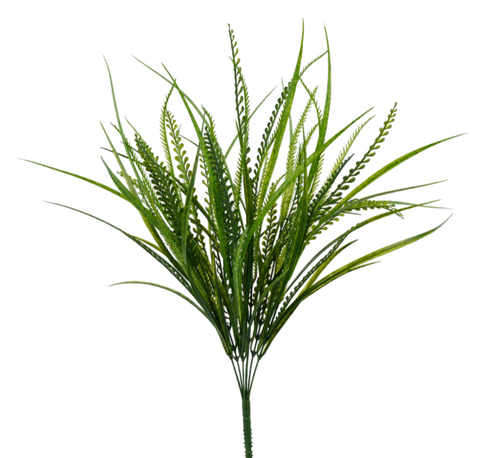 Sword Fern/Grass Bush