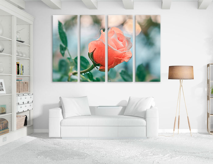 Tender Rose Canvas Print #7563