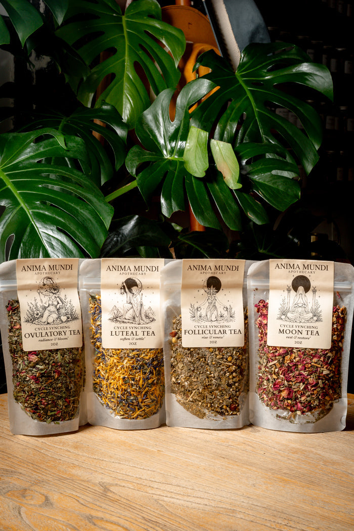 Four stand-up pouches of Anima Mundi herbal tea arranged on a wooden surface in front of large green monstera leaves. The pouches are labeled Ovratony, Luteal Tea, Follicular Tea, and Moon Tea.