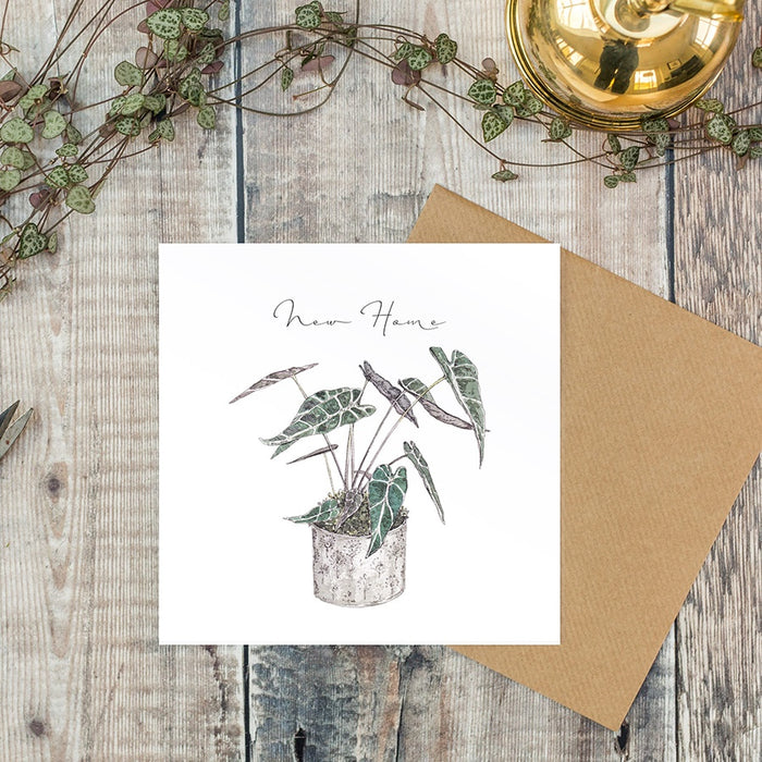 Toasted Crumpet Greetings Card - New Home