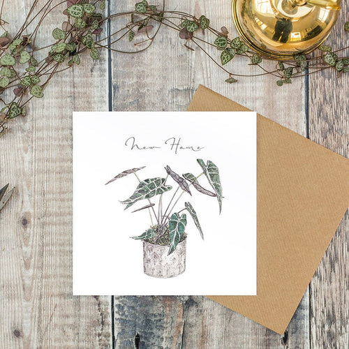 Toasted Crumpet Greetings Card - New Home