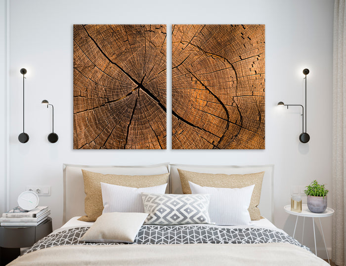 Tree Stump Canvas Print #1328