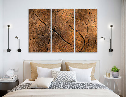 Tree Stump Canvas Print #1328