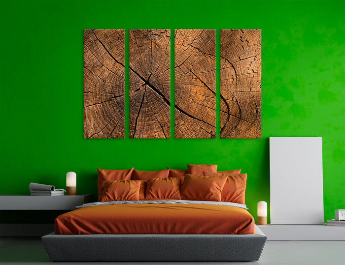 Tree Stump Canvas Print #1328