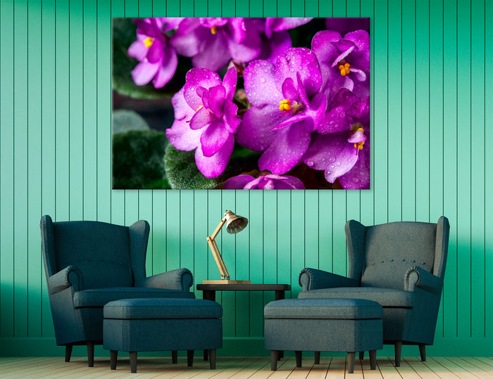 Violets Canvas Print #7560